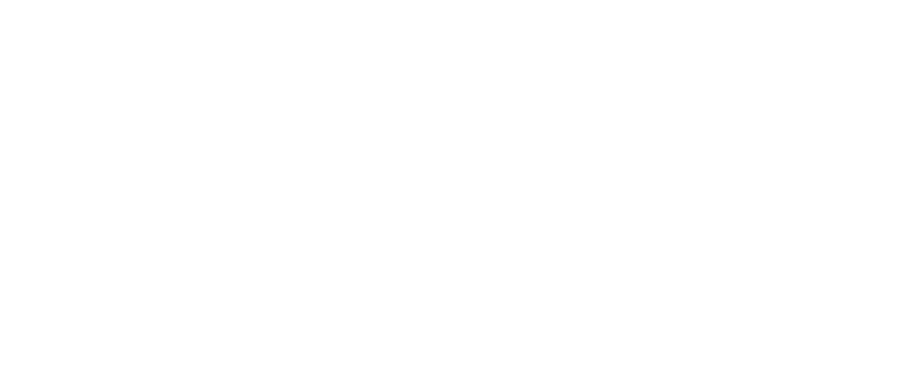 storm-ir
